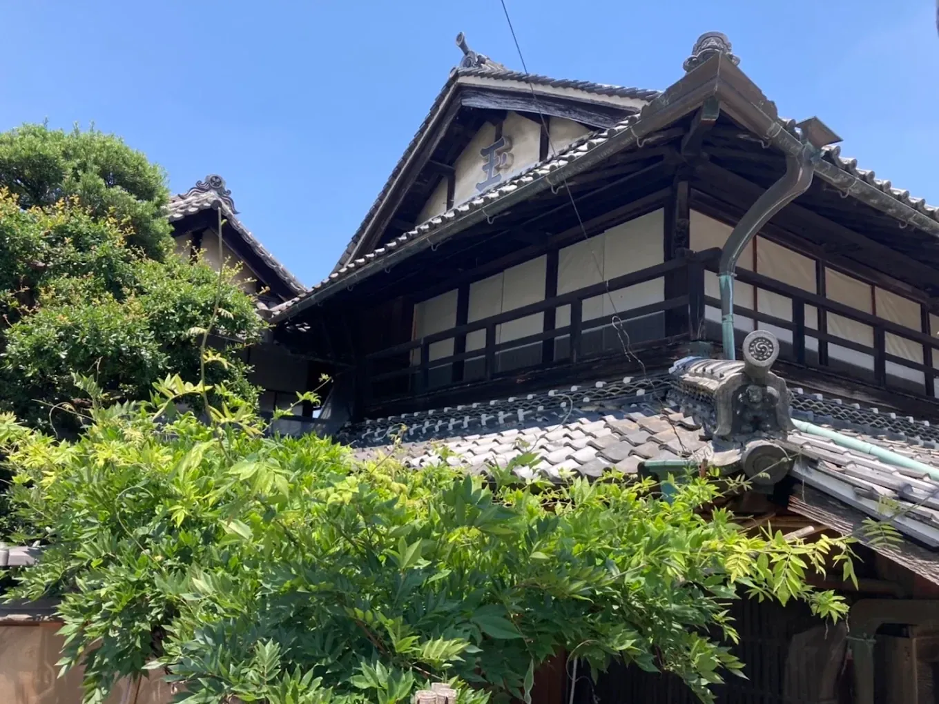 木々に囲まれた、玉や主屋の外観